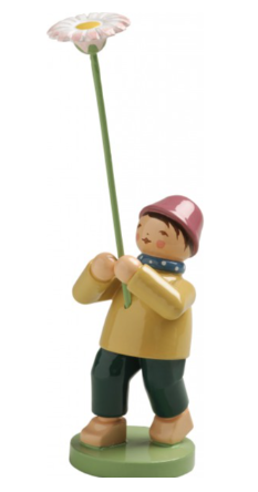 Junge mit Gänseblümchen