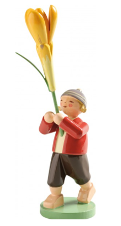 Junge mit Krokus